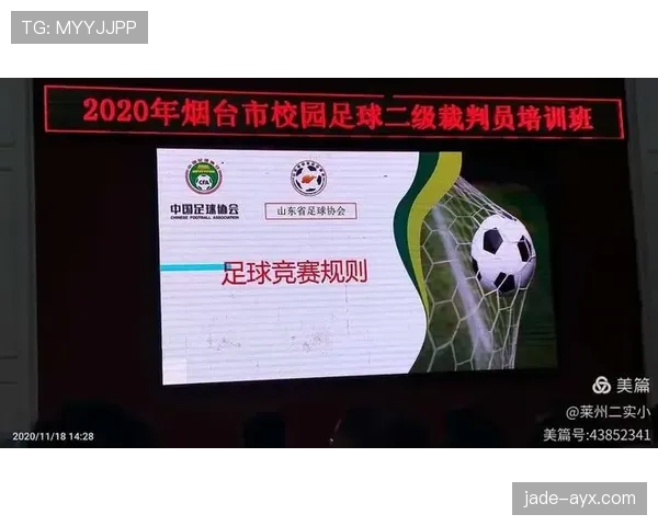 第四官员在足球比赛中的职责与裁判规则详解