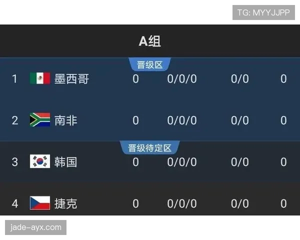 世界杯A组第二名争夺战全面解析